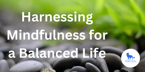 Harnessing Mindfulness for a Balanced Life